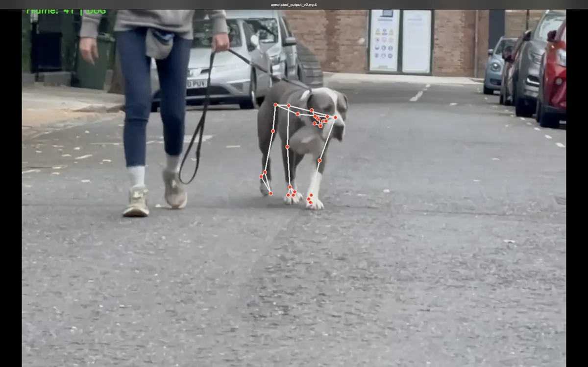 PAWSCHECK tracking joint positions and gait patterns on a walking dog