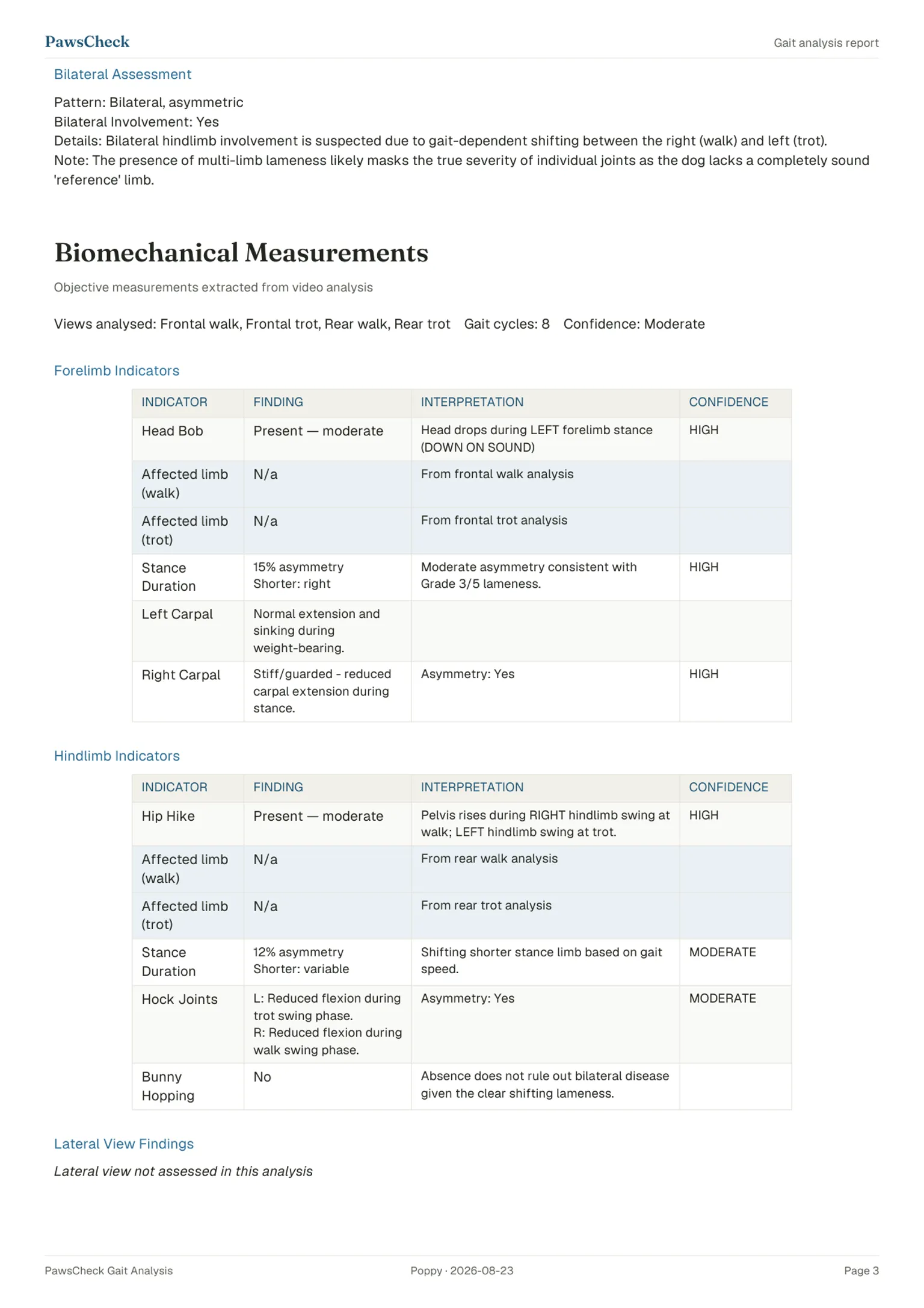 Report page: biomechanical measurements
