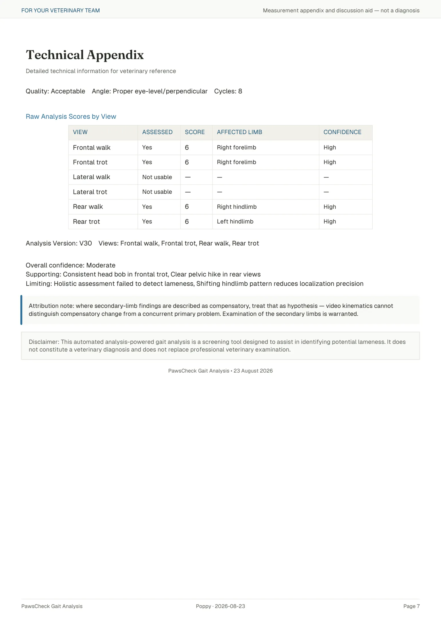 Report page: technical appendix with raw scores by view