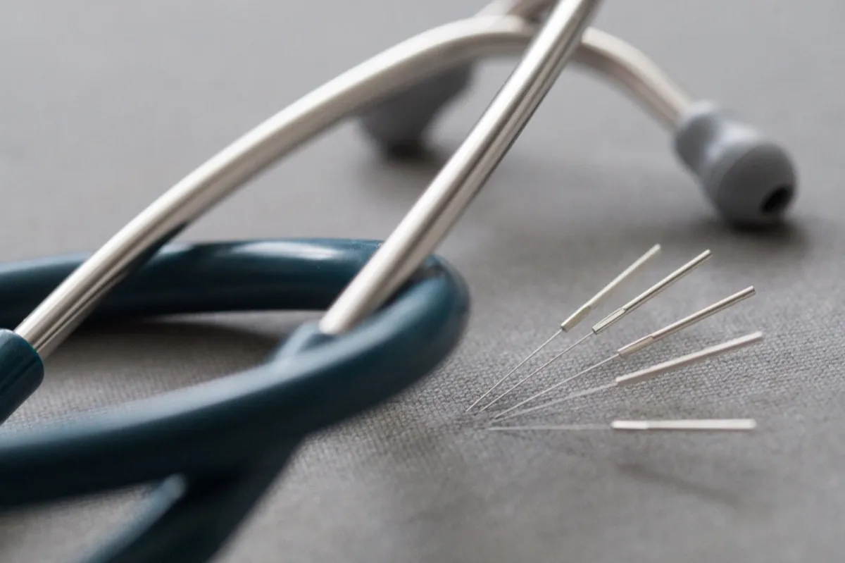 Acupuncture for dogs
