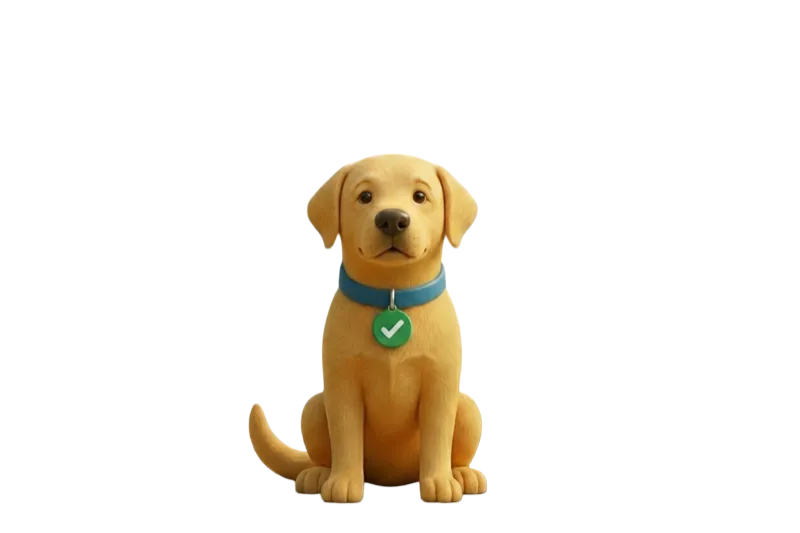 We're excited to help your dog!