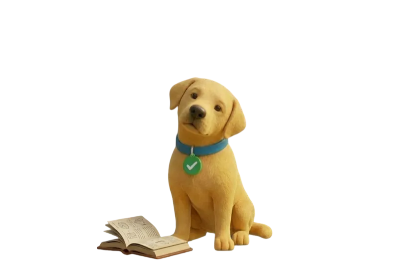 Scout Educator
