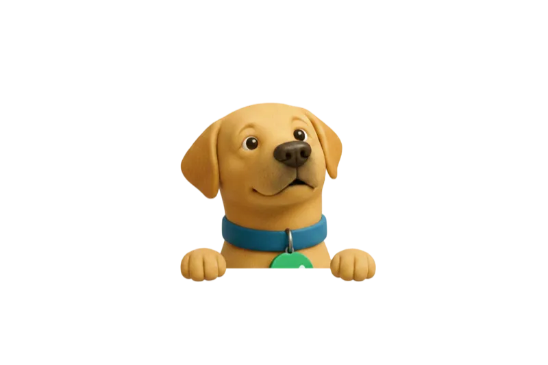 Welcome to PawsCheck.