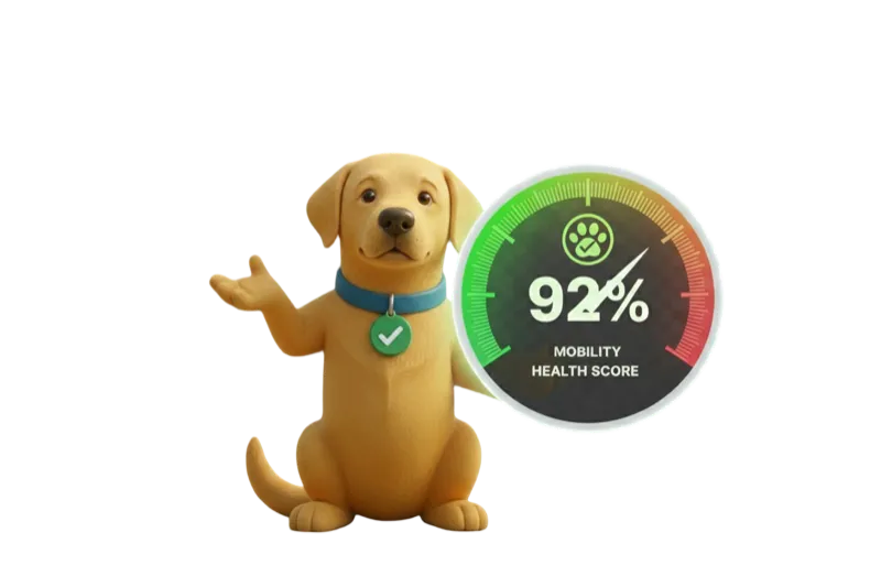 Your dog's mobility at a glance.